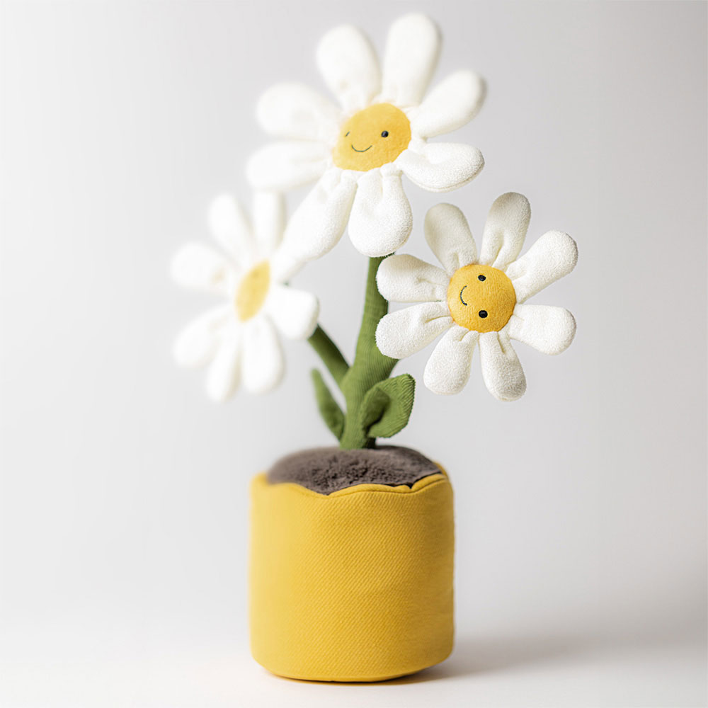 Amuseable Daisy, View 1