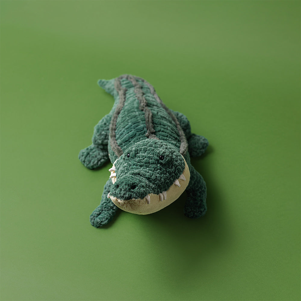 Allexi Alligator, view 1