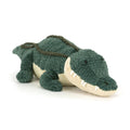 Allexi Alligator, Main View