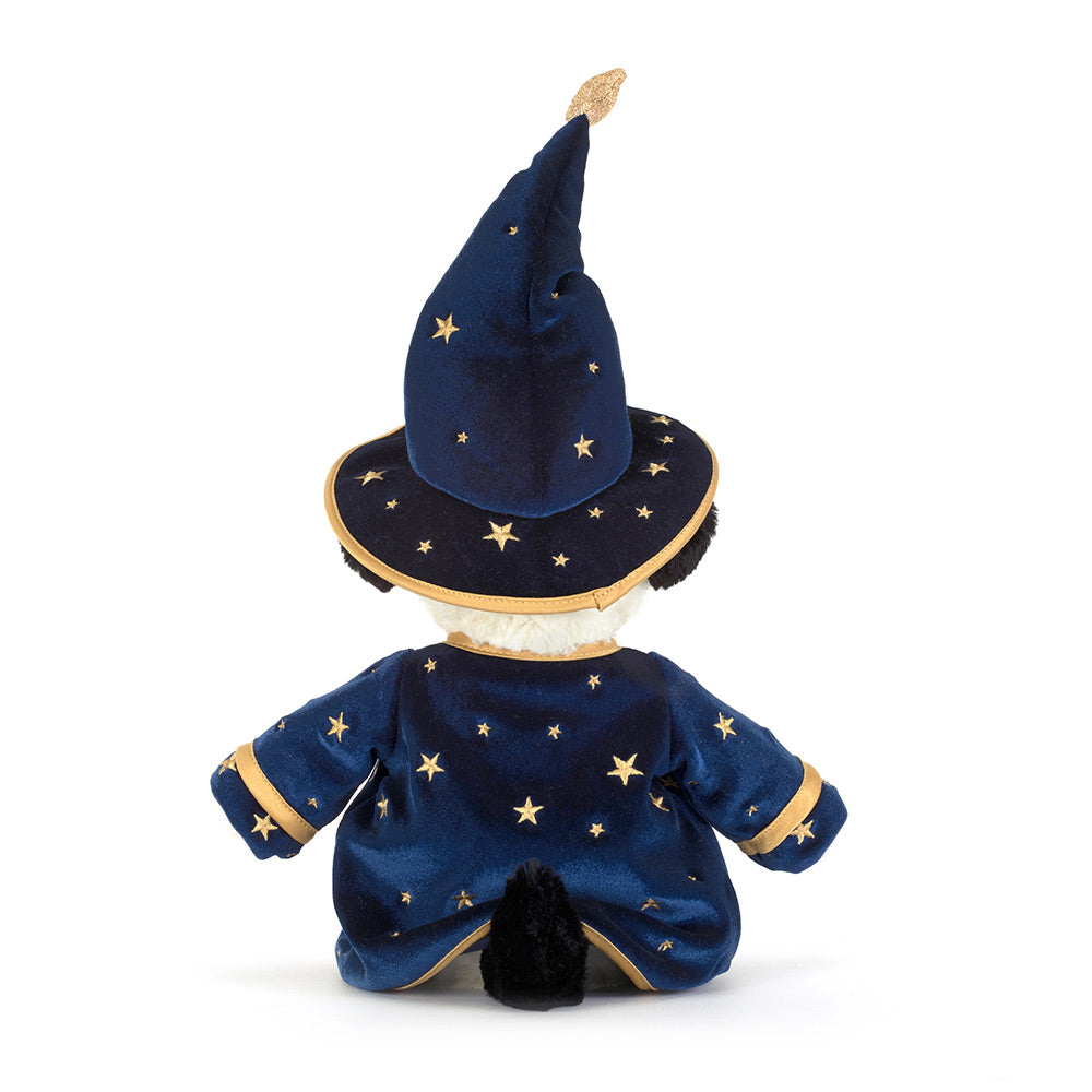 Rufferty Puppy Wizard Outfit, View 3