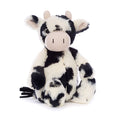 Bashful Calf, Main View