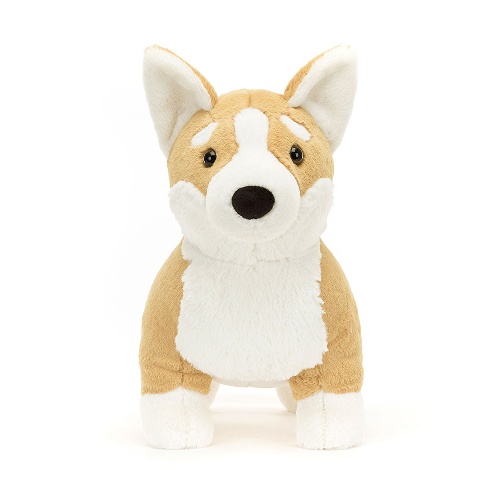 Betty Corgi Big, Main View
