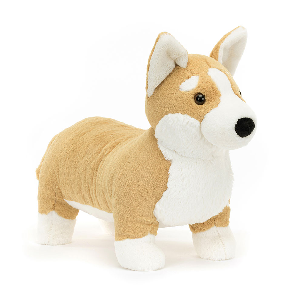 Betty Corgi Big, Main View
