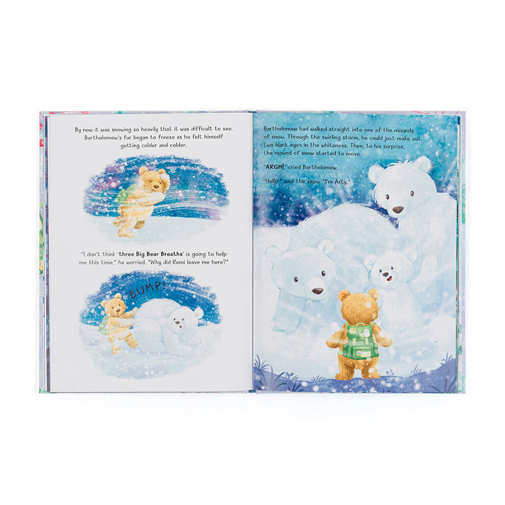 Bartholomew Bear and the Snow Giants Book, View 3