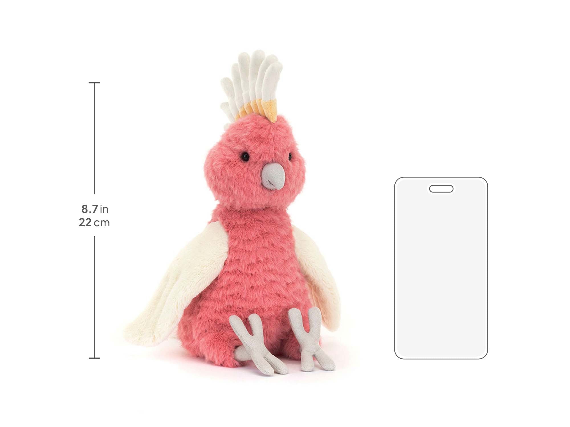 Squawkatoo size chart