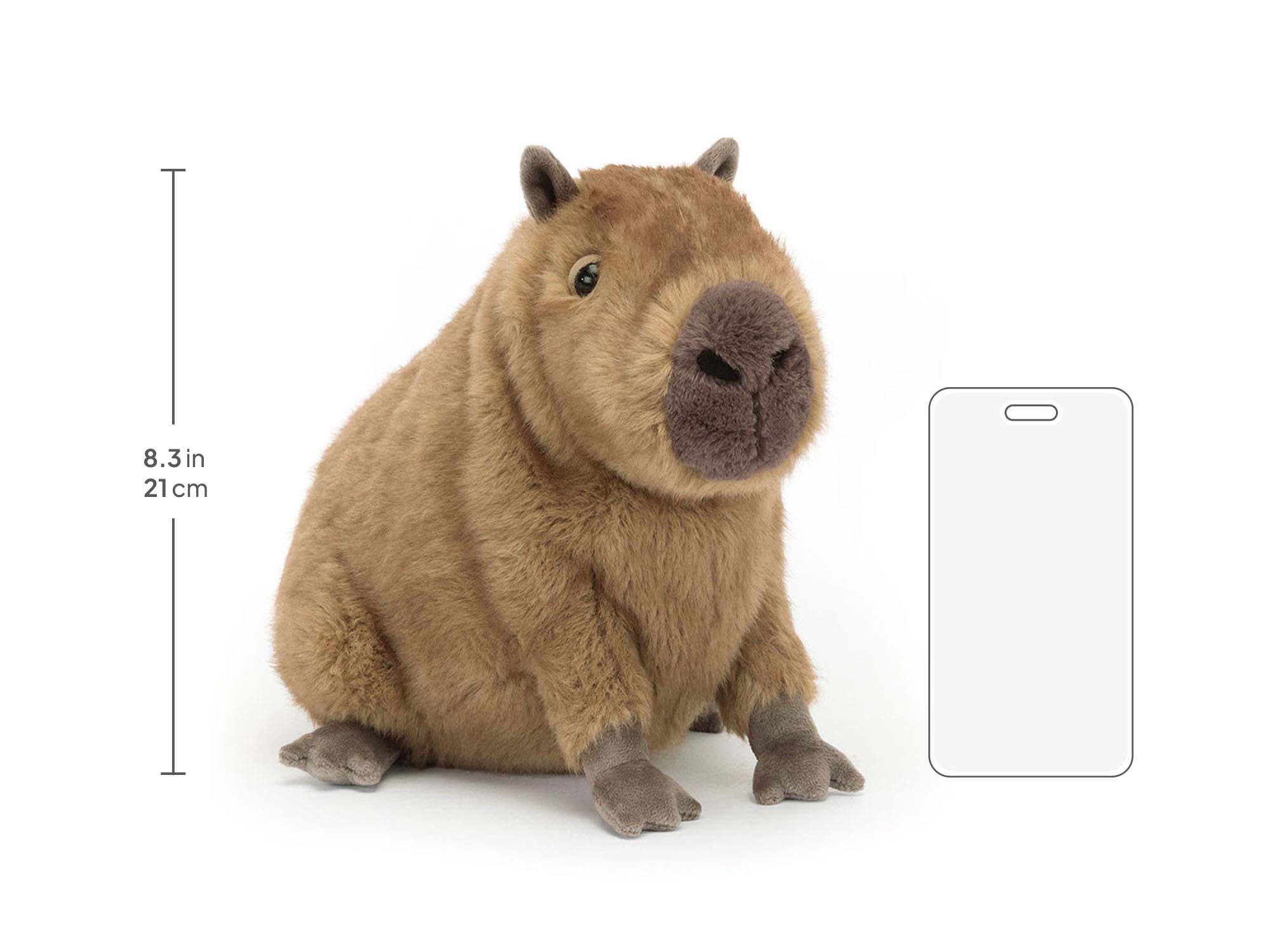 Clyde Capybara, size chart