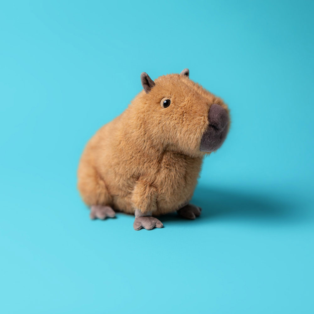 Clyde Capybara, View 1