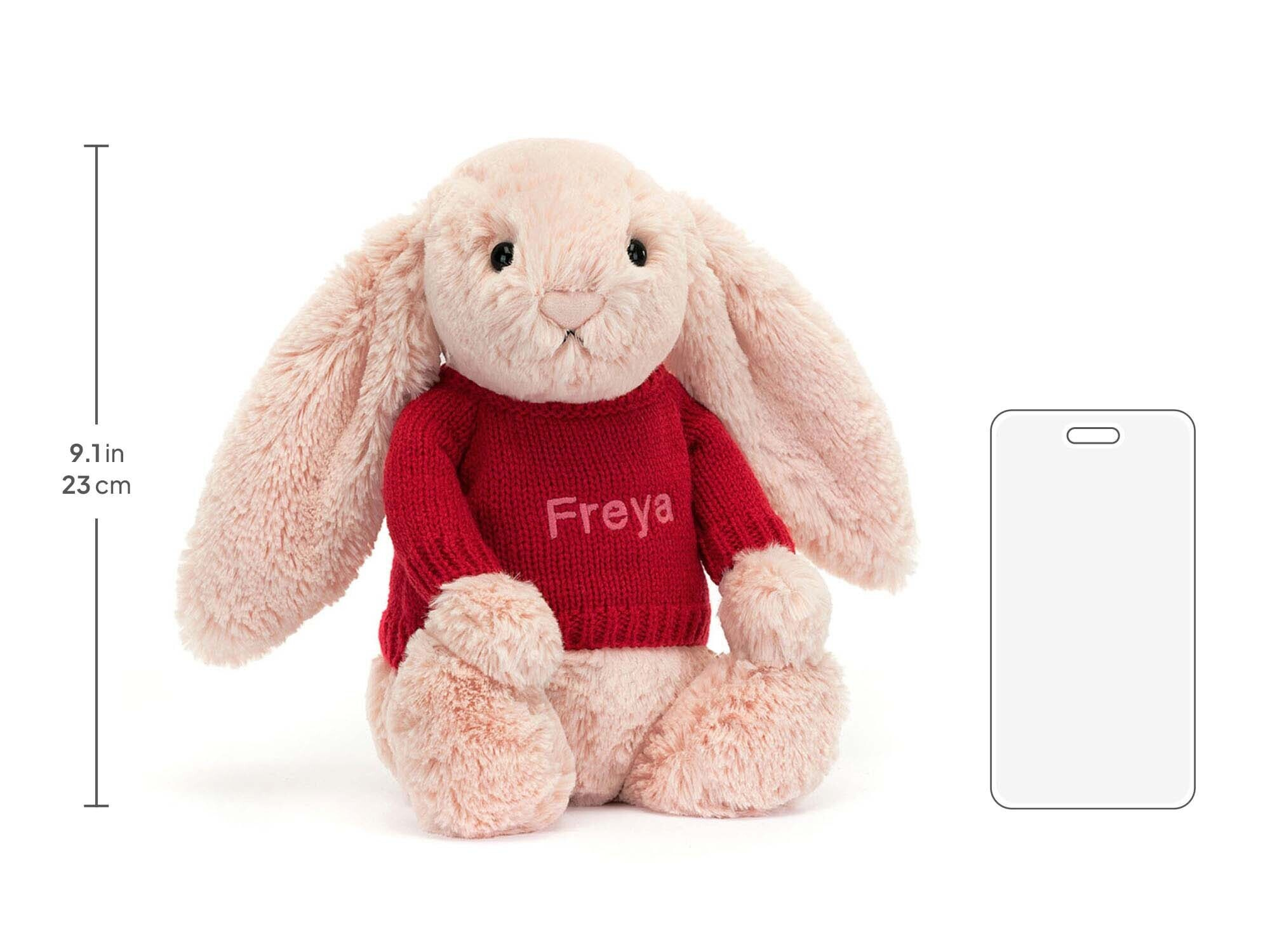 Bashful Blush Bunny with Personalized Red Jumper, size chart