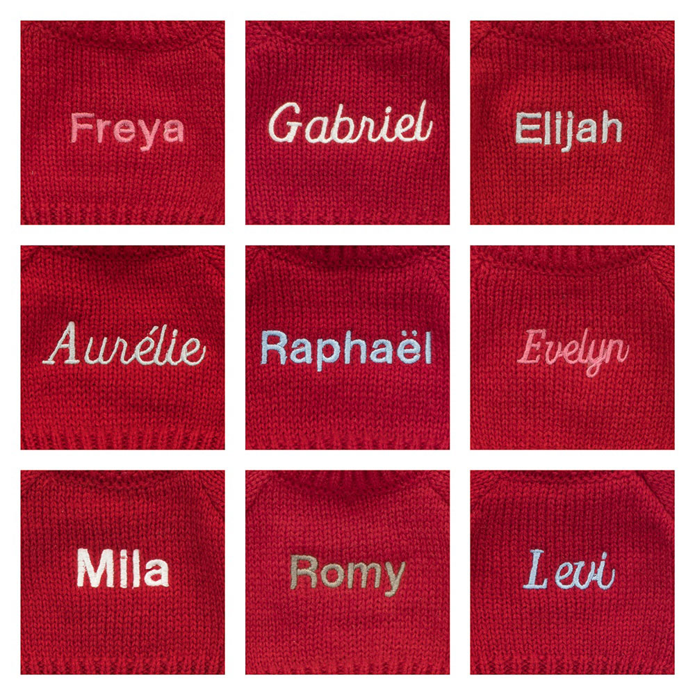 Bashful Lion with Personalised Red Jumper, Main View