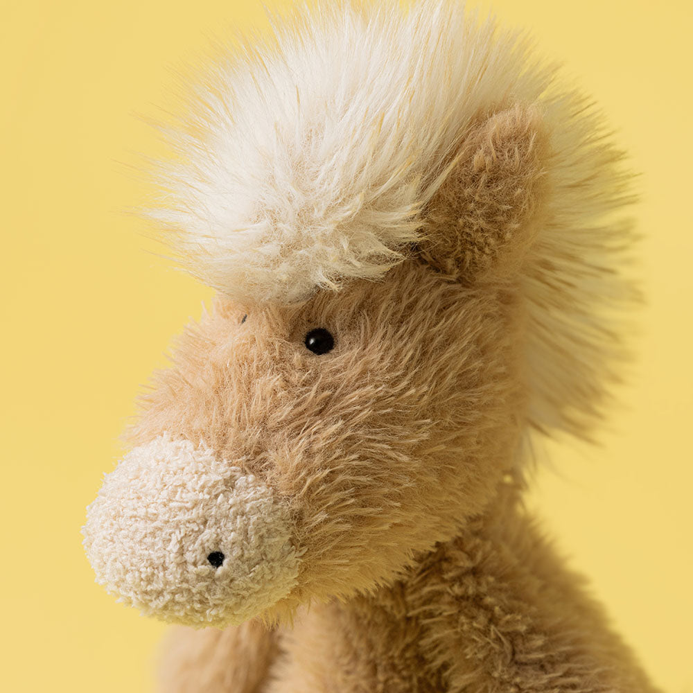 Canterneigh-Pony, View 1