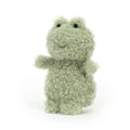 Little Frog, Main View