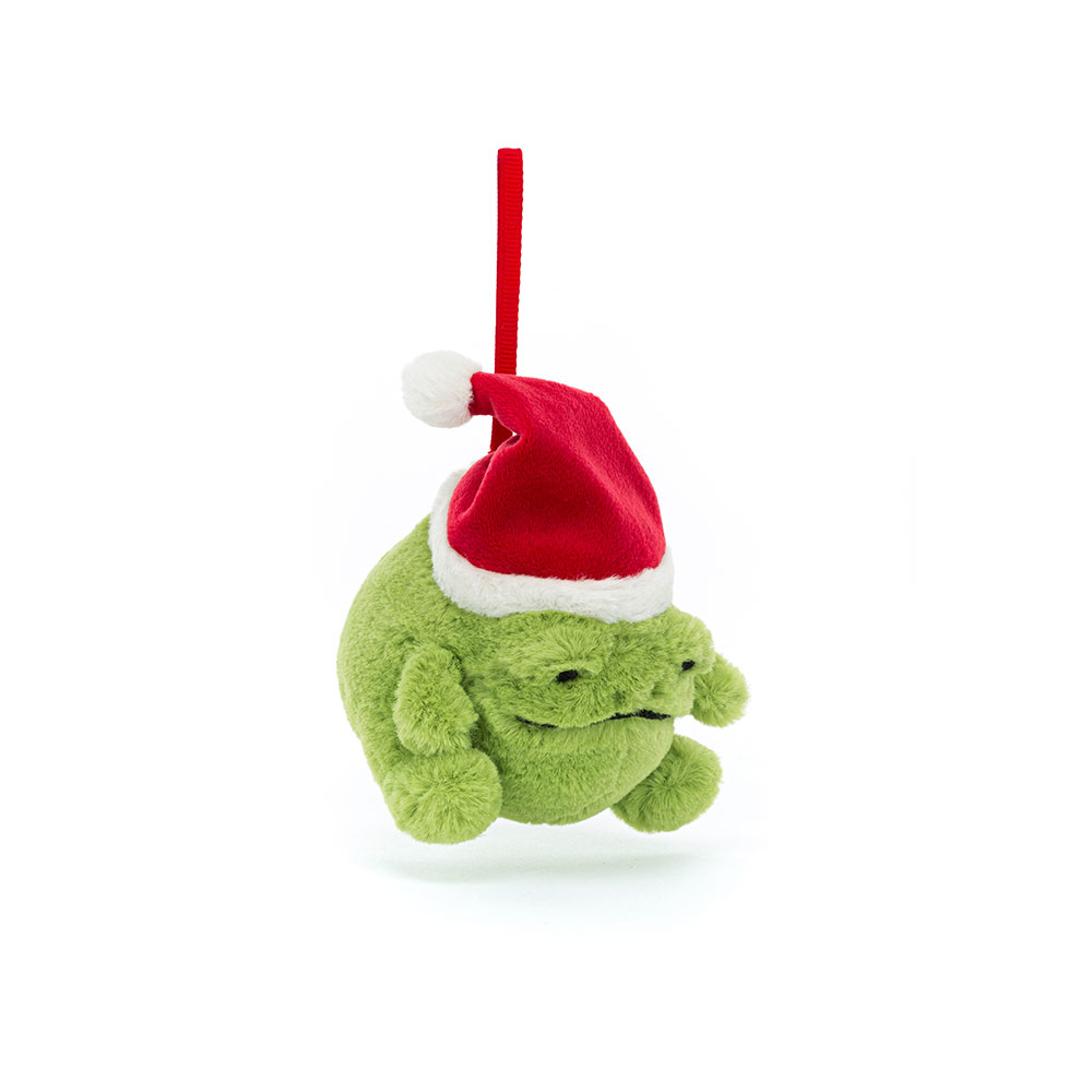 Ricky Rain Frog Decoration, View 5