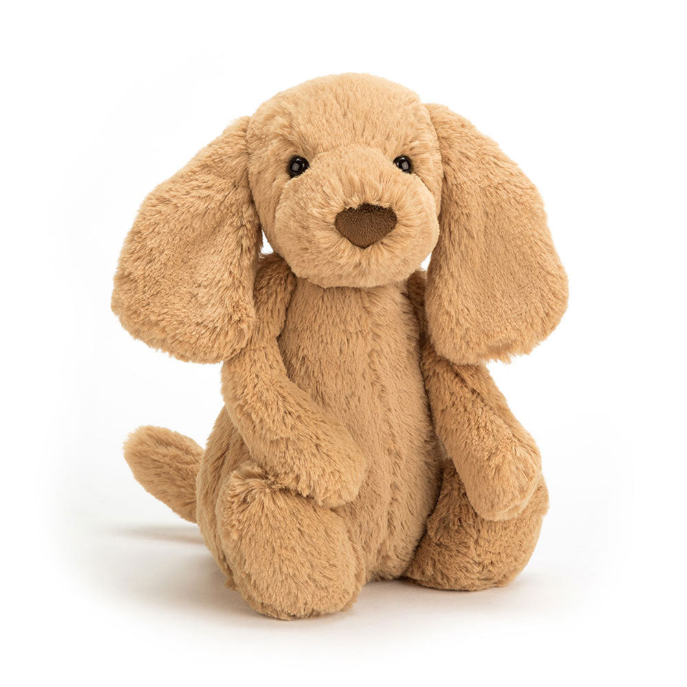 If I Were a Dog Board Book and Bashful Toffee Puppy, View 3