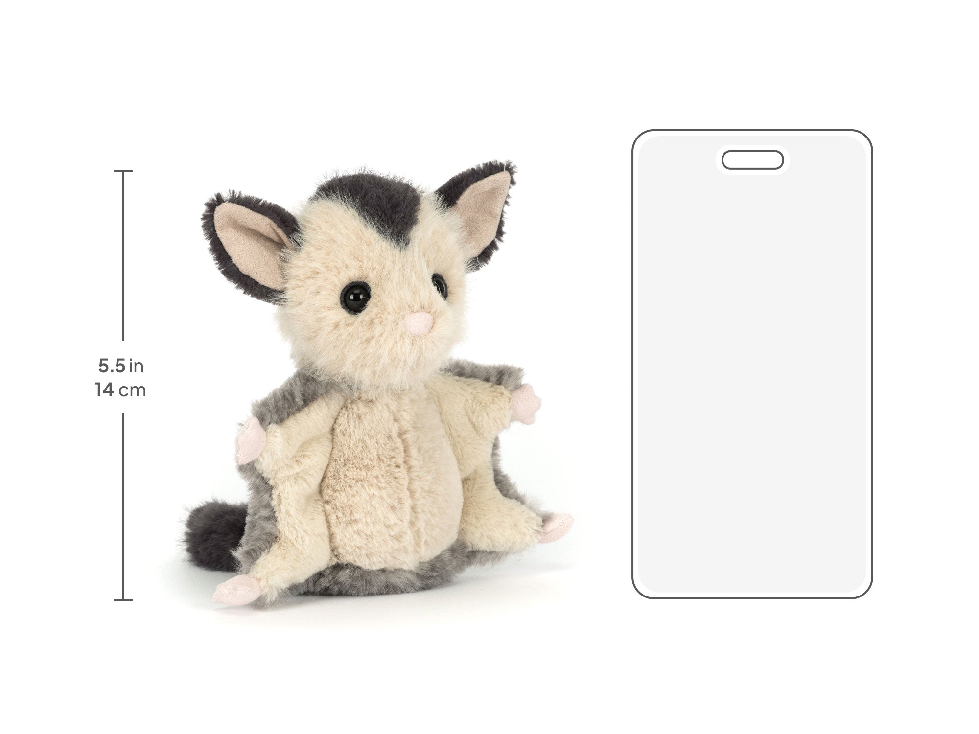 Sugar Glider, size chart