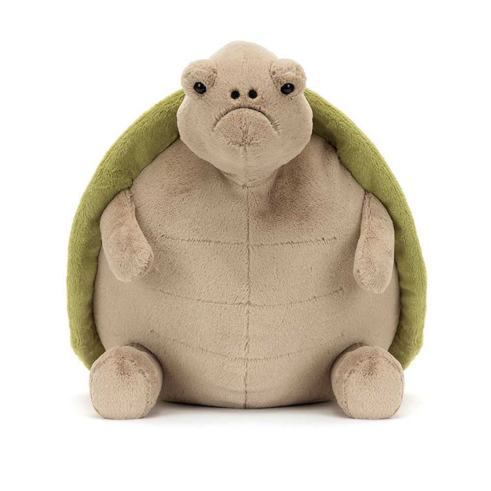 Timmy Turtle Big, View 4