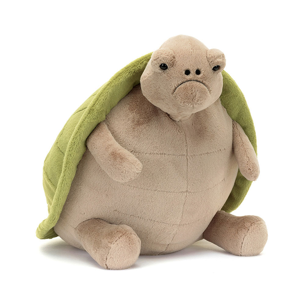 Timmy Turtle Big, Main View