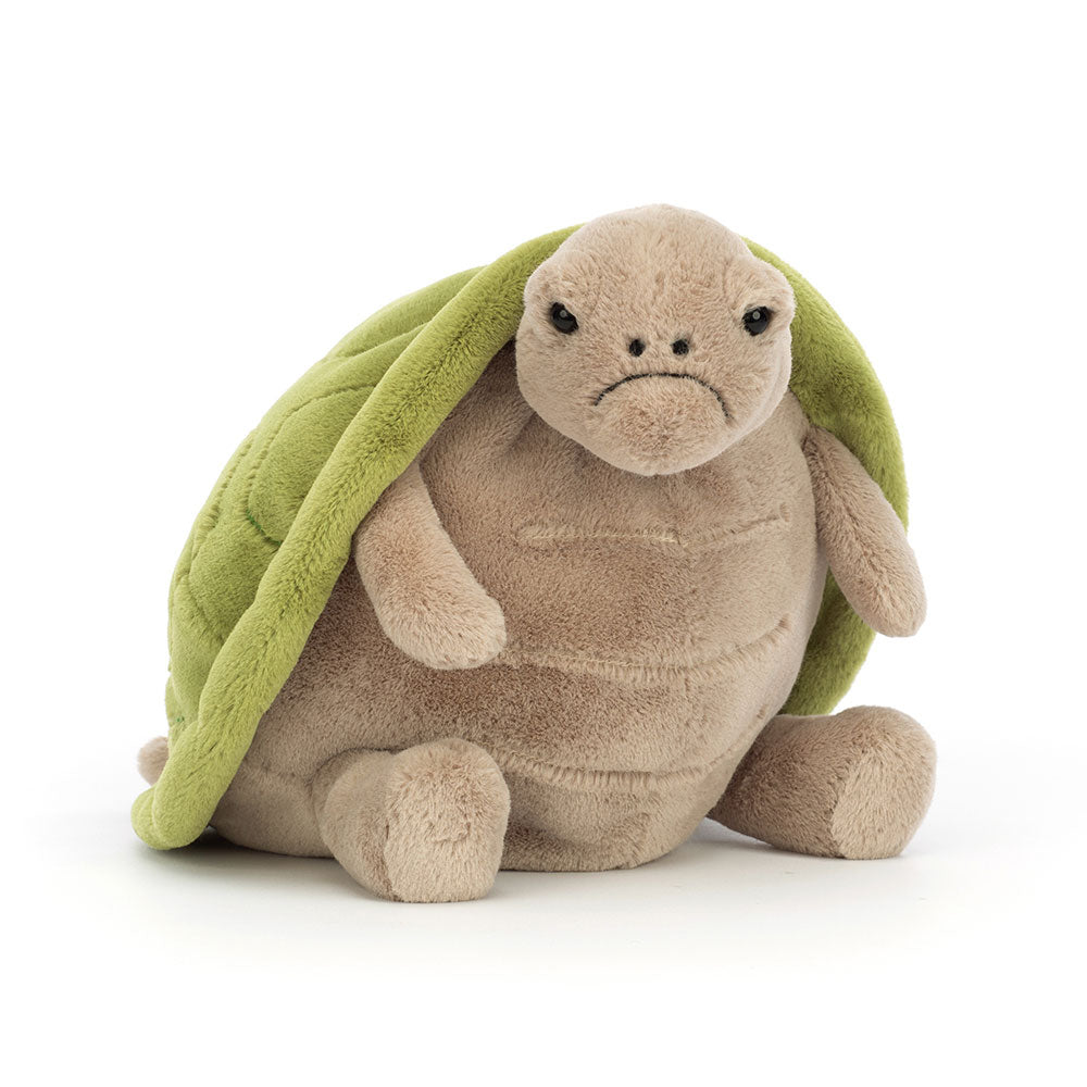Timmy Turtle, Main View