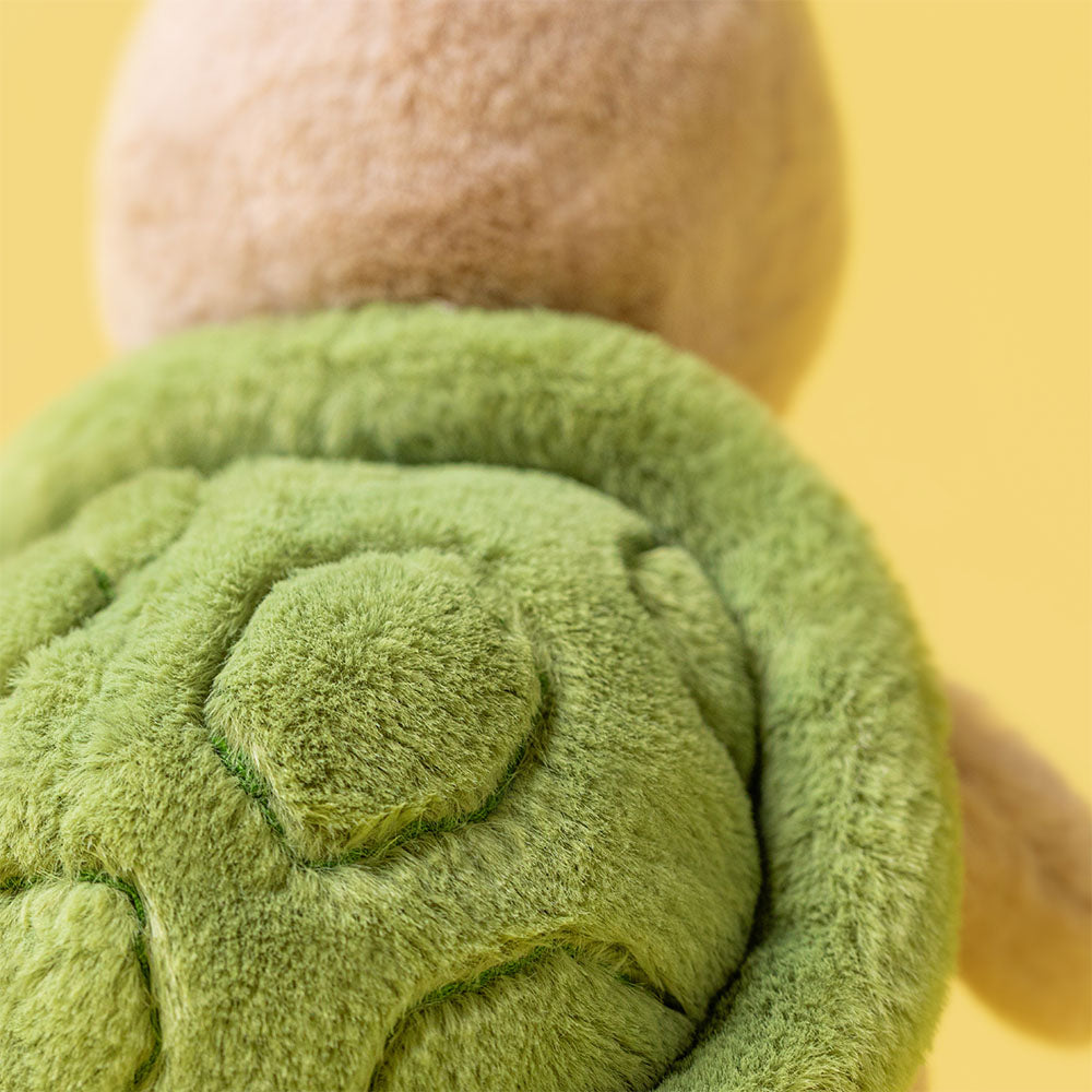 Thimble Turtle, View 1