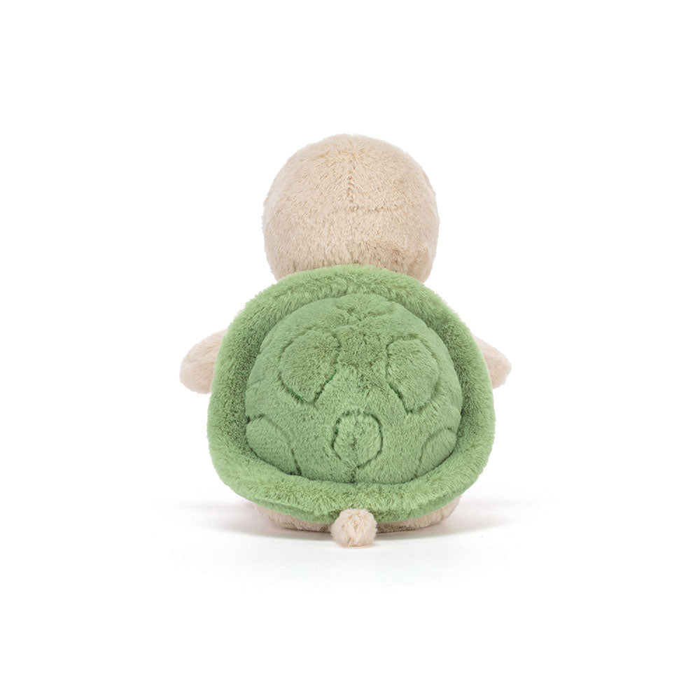 Thimble Turtle, View 3
