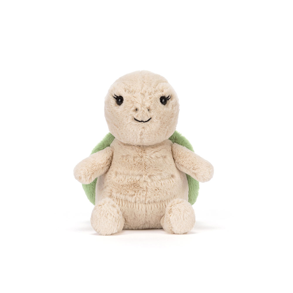 Thimble Turtle, View 4