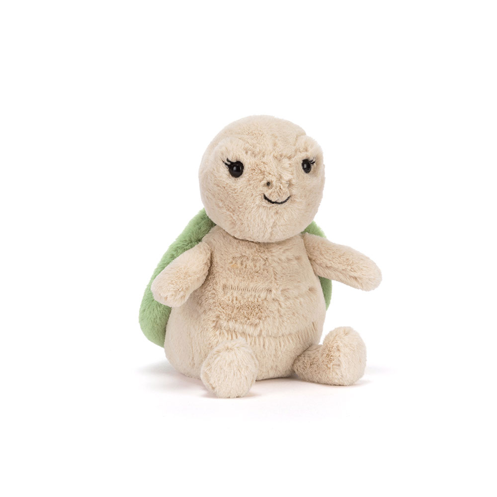 Thimble Turtle, Main View